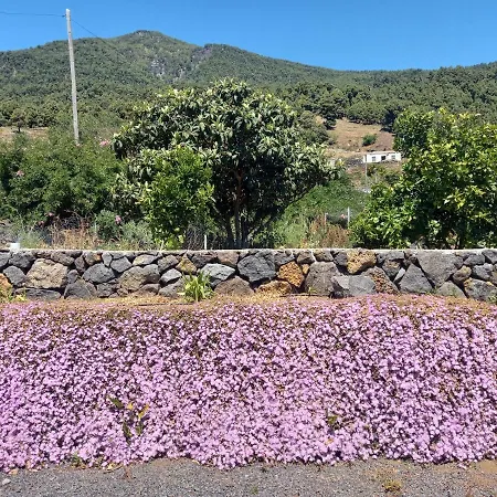 Casa Calderos * Mazo