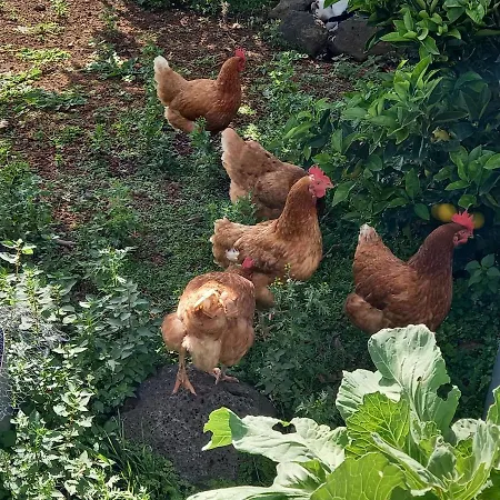 Casa Calderos Mazo